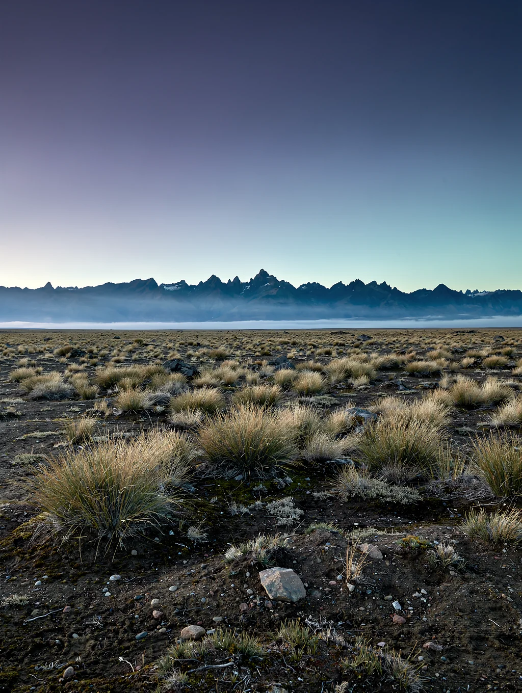 Dusk light over Patagonian steppe and mountains